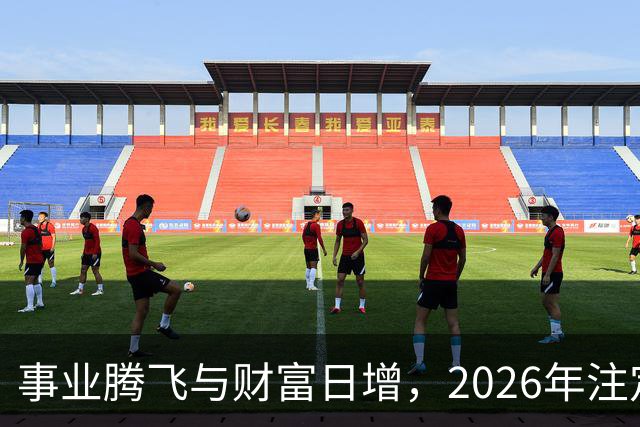 事业腾飞与财富日增，2026年注定丰收的三大生肖