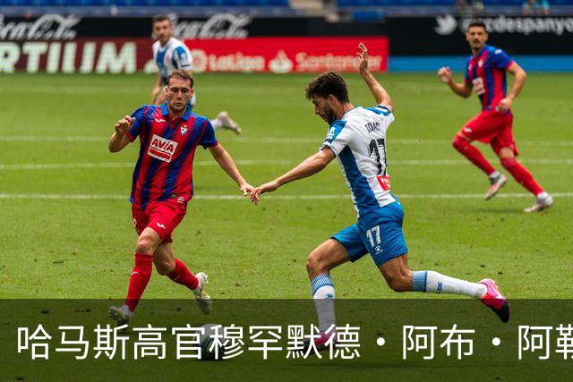 哈马斯高官穆罕默德·阿布·阿勒万被以军击毙