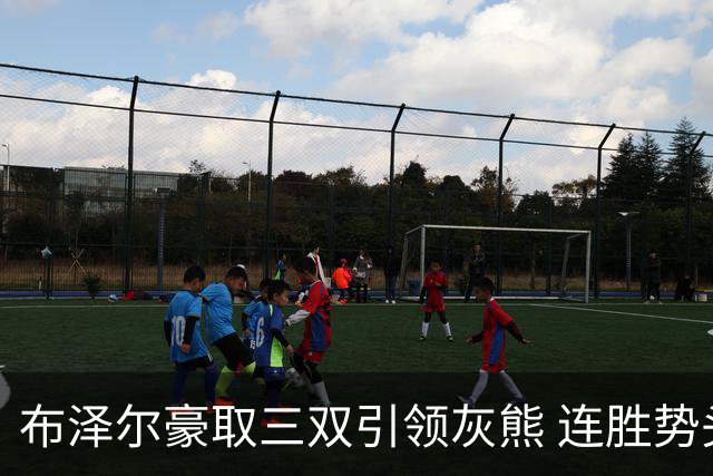 布泽尔豪取三双引领灰熊 连胜势头持续攀升