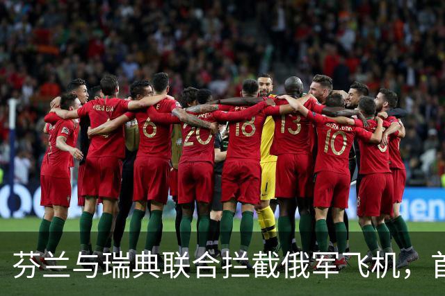 芬兰与瑞典联合拦截俄军飞机，首次展现紧密合作