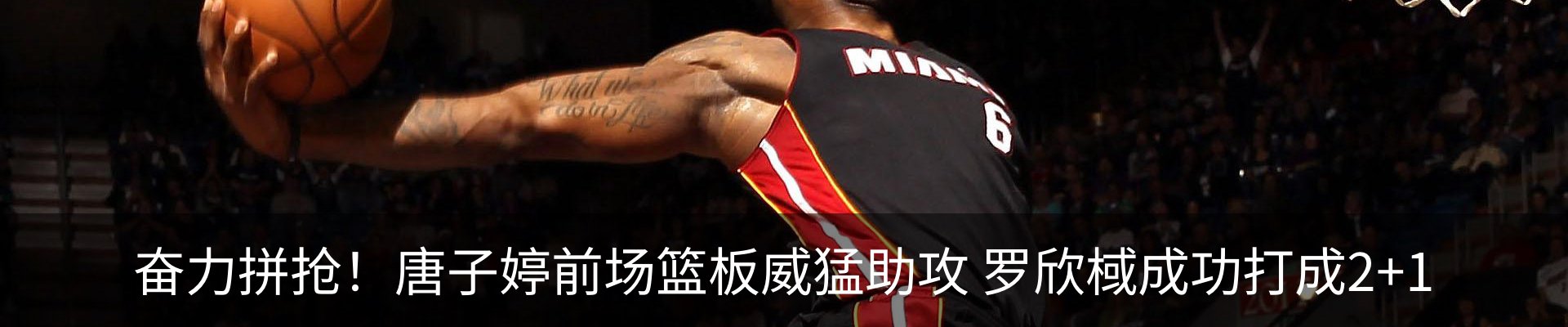 最新动态